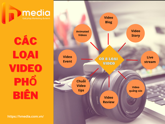 cac-loai-video-pho-bien